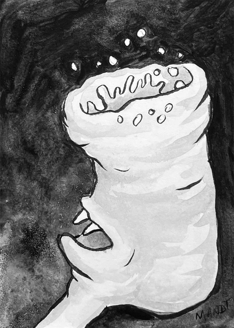 Gornok-Splash-2-ACEO