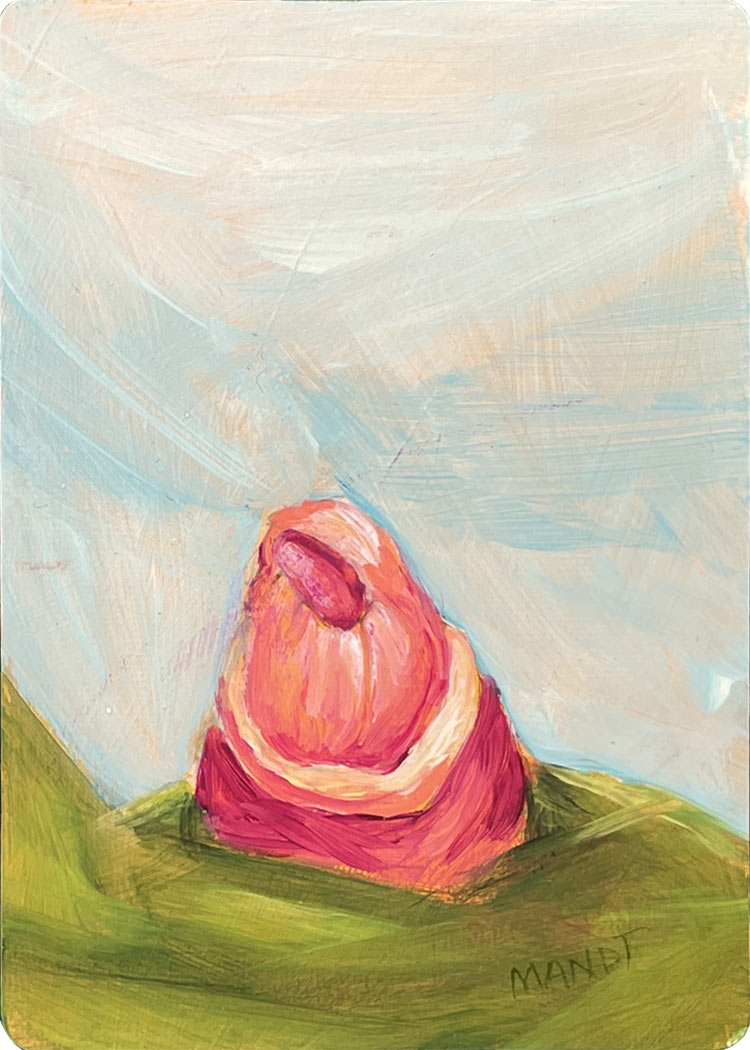 Wetland-Barnacle-1-ACEO